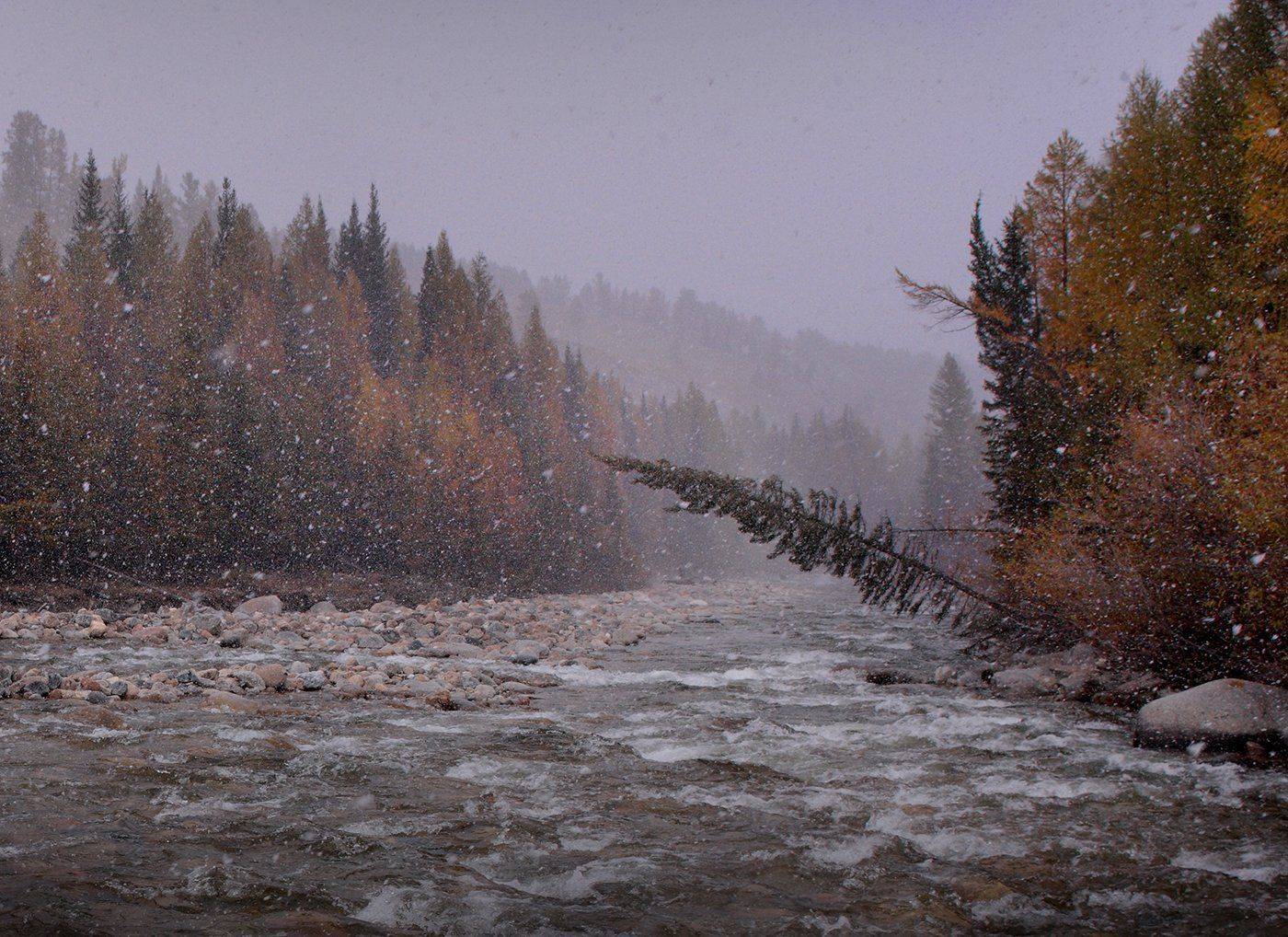 , Алексей Родак