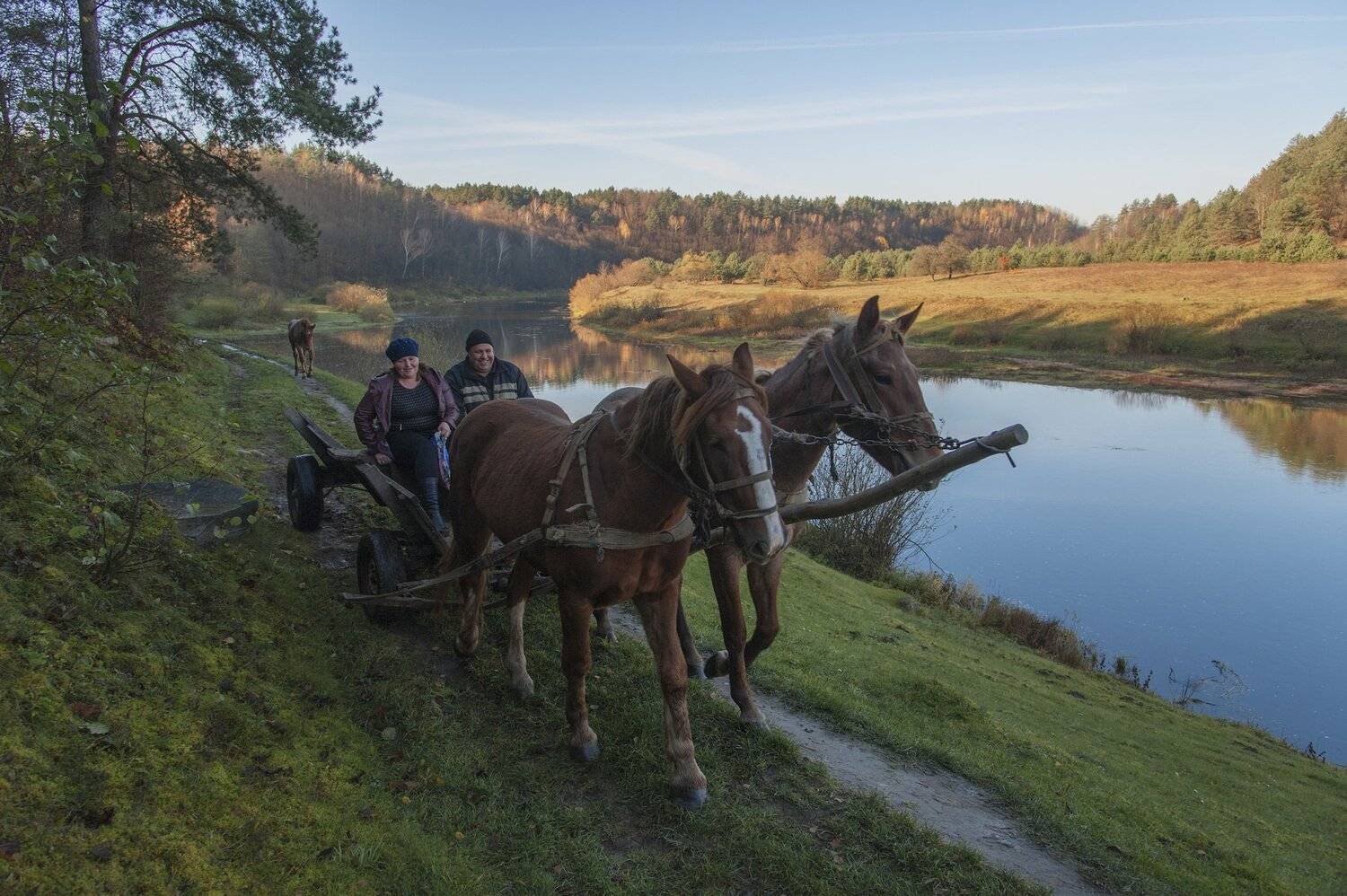 , Володимир Карчевський