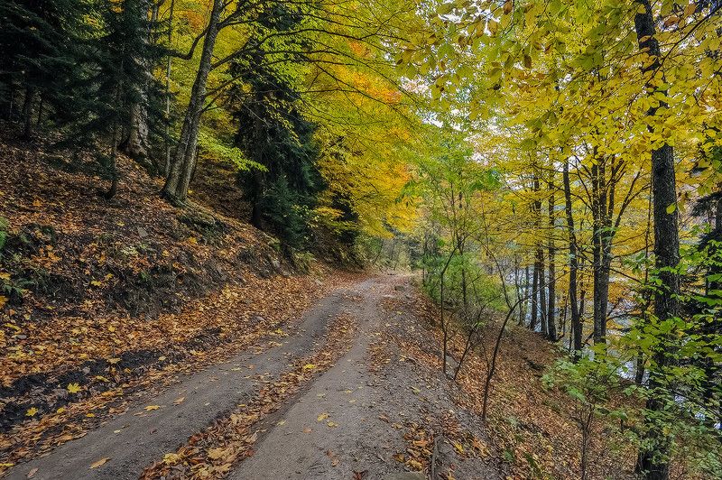 По дороге к Загедану 3 фото превью