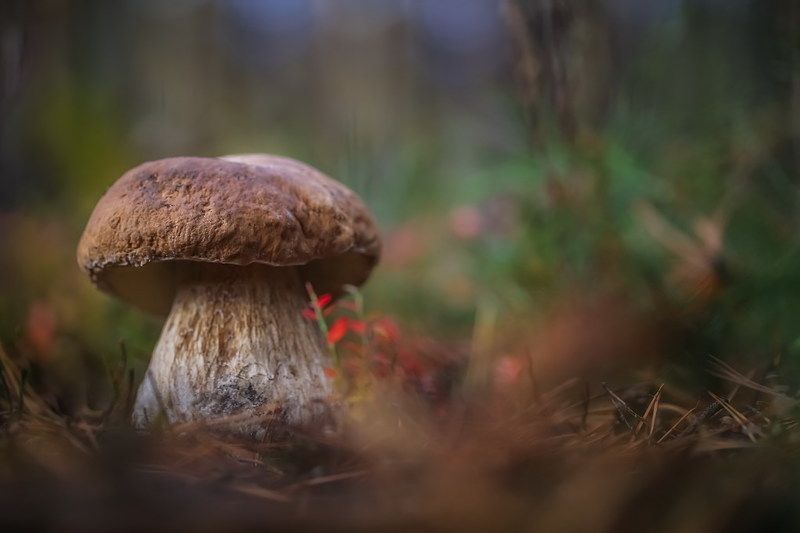 Важный фото превью