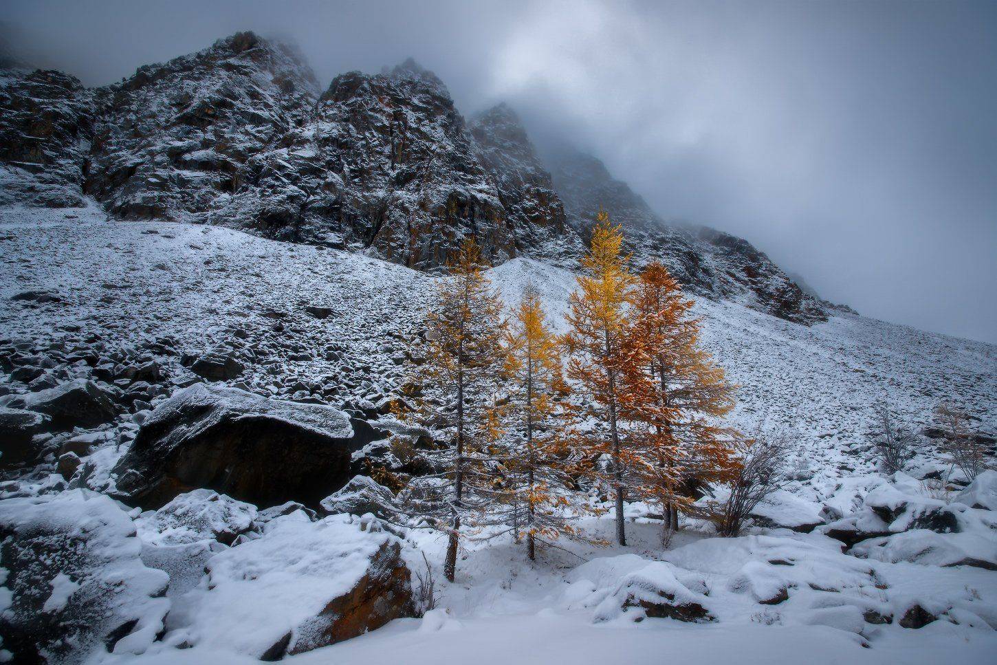 алтай, горы, осень, актру, Владимир Ляпин