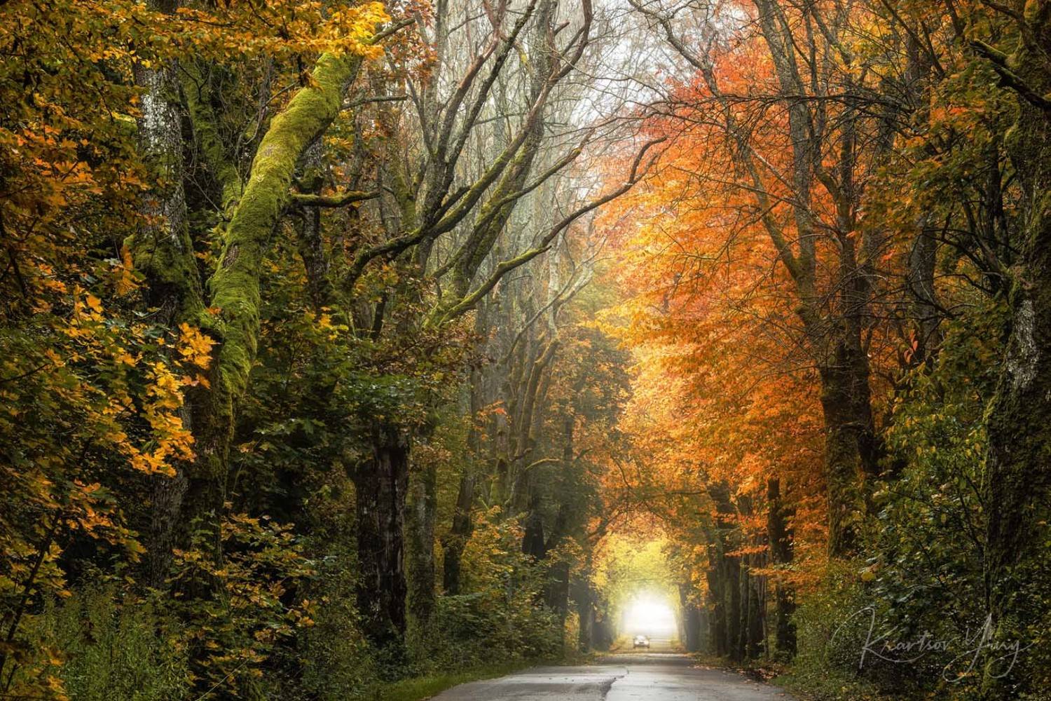 , юрий кравцов