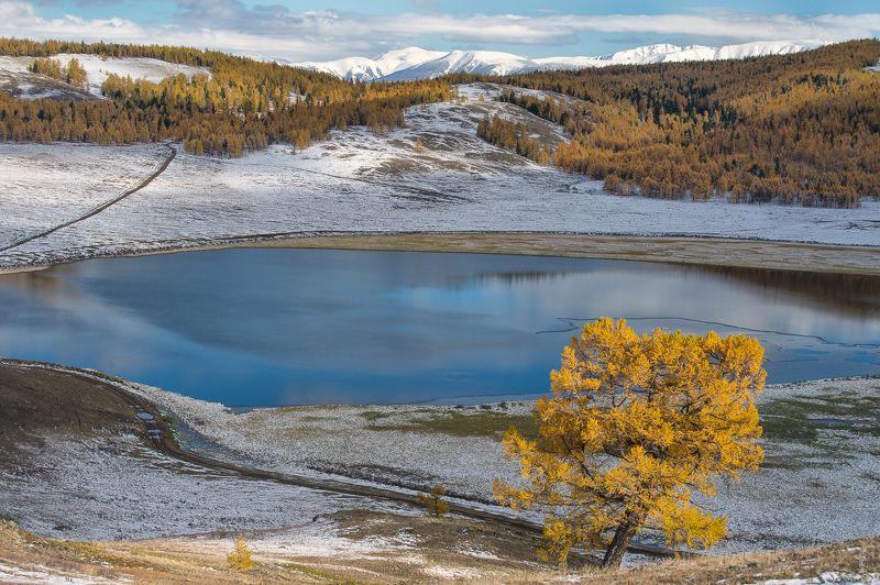 *** фото превью