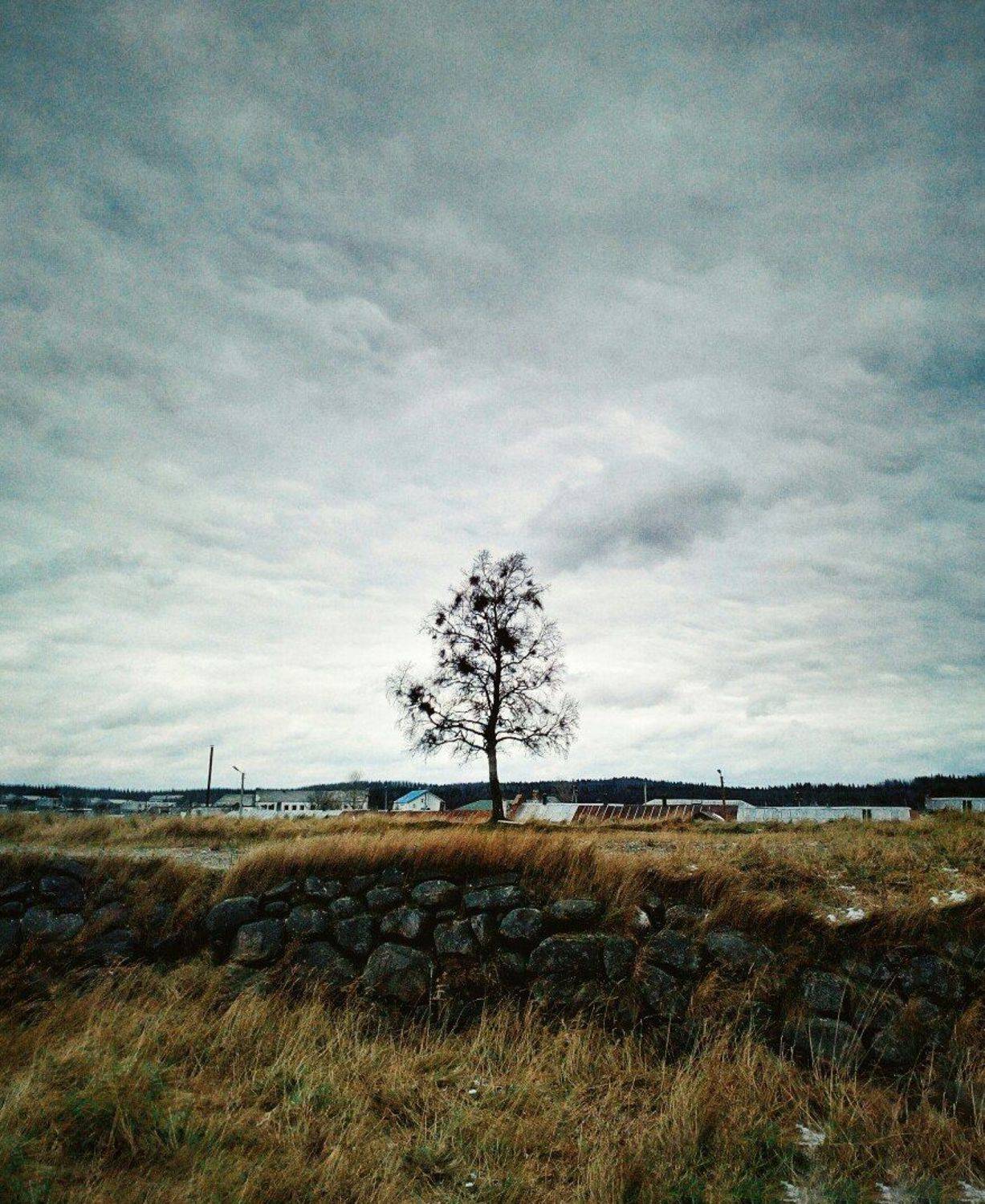 #trave #красота #природа #путешествия #утро #красивыеместа #рассвет #discovery #World #dream #moments #моментыжизни #путешествие #beauty #живаяпланета #красивыйвид #красивыеместа #travelerbest #пейзажи #мирвокругнас#вокругсвета #openworld #соловки #россия, Подойницин Геннадий