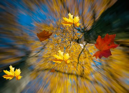 Autumn rushing