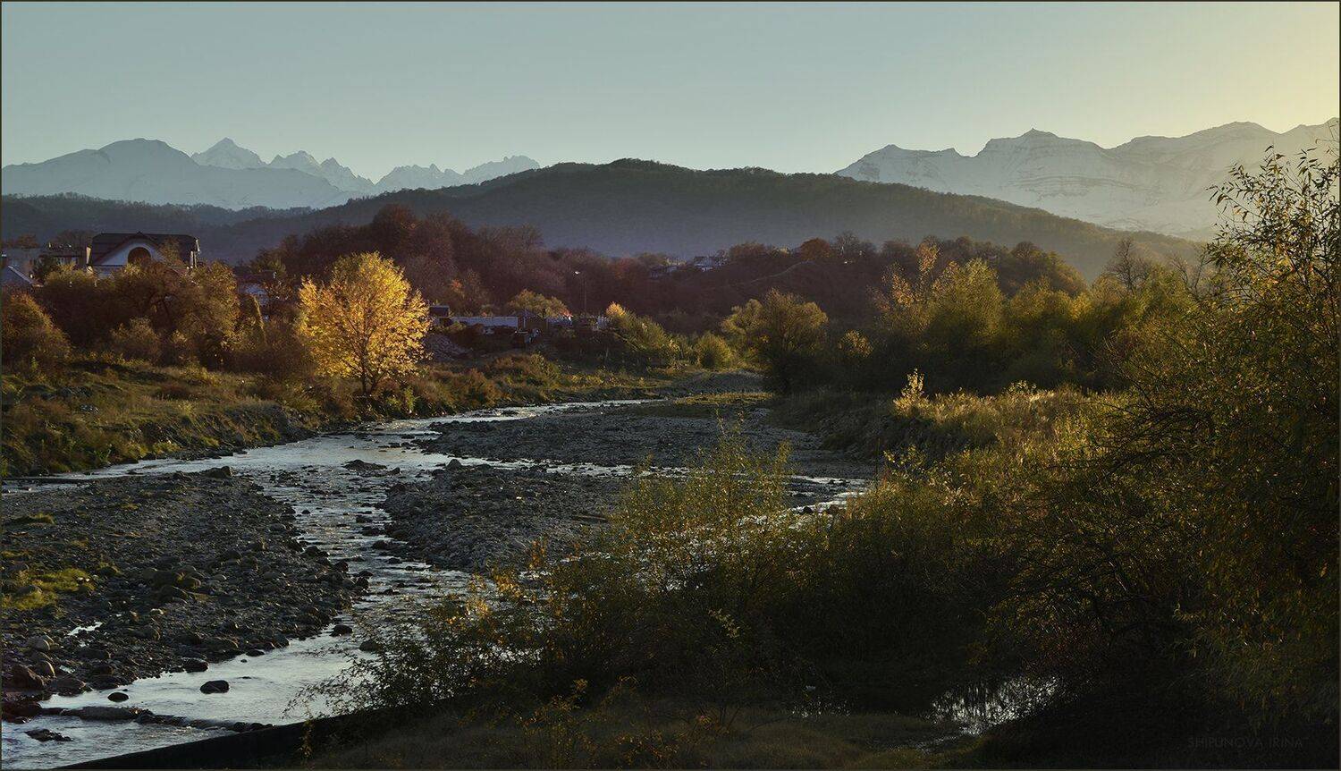 , Шипунова Ирина