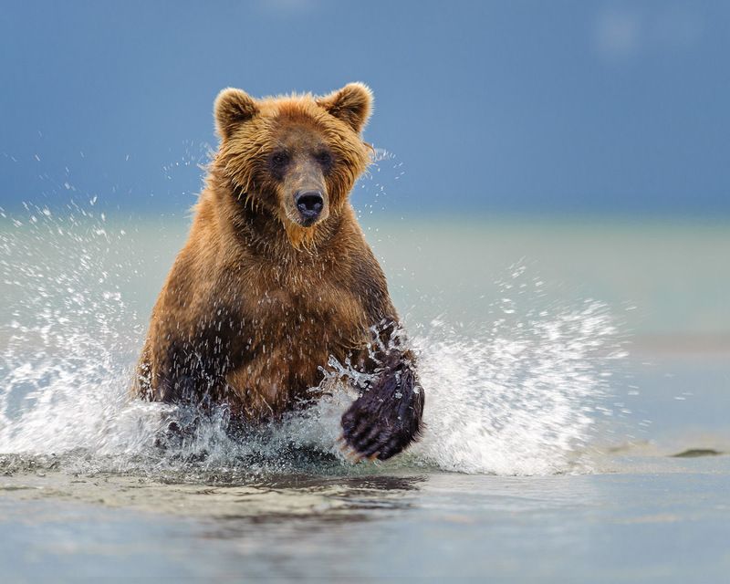 Азарт фото превью