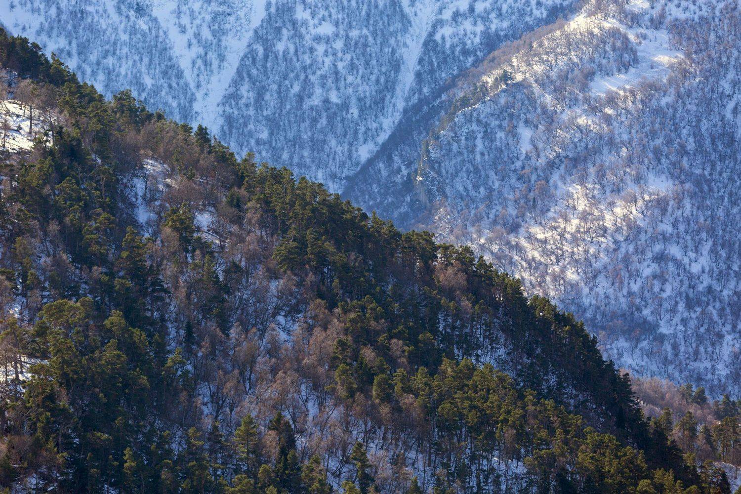 карачаево-черкесия ,кчр ,горы,архыз,, Коркин Вадим