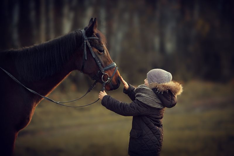 ребенок, лошадь ... фото превью