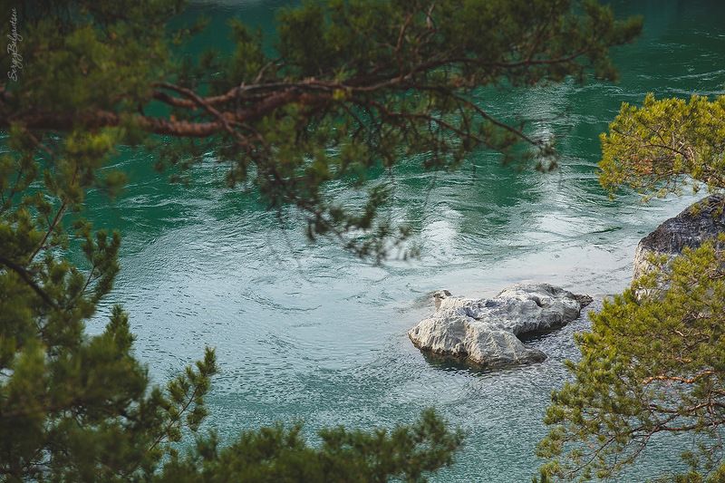 Катунские зарисовки. 3-5 ноября 2017 фото превью