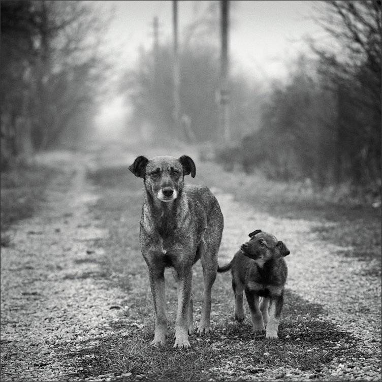 , Сергей Фудиненко