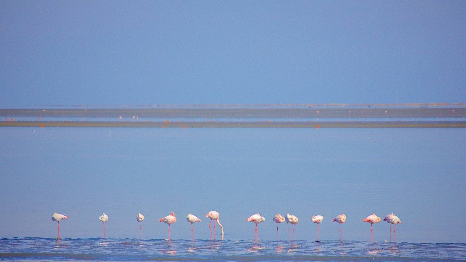 , Мазурин Евгений