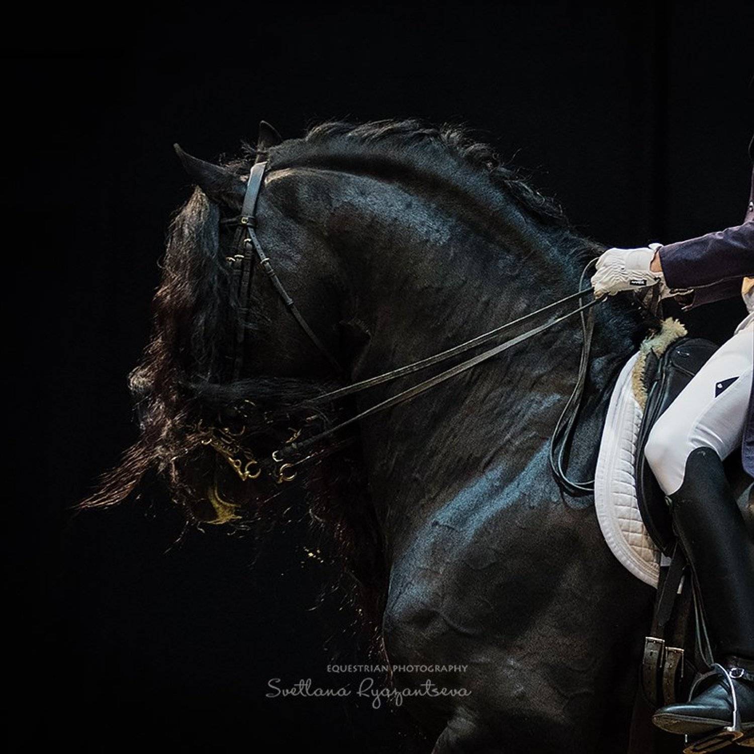 horse, лошадь, лошади, details, Svetlana Ryazantseva