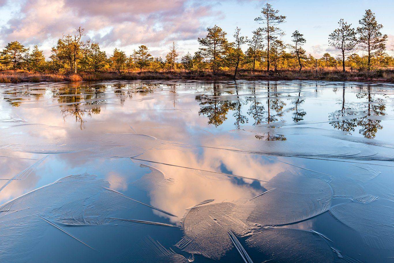 , Александр Абросимов