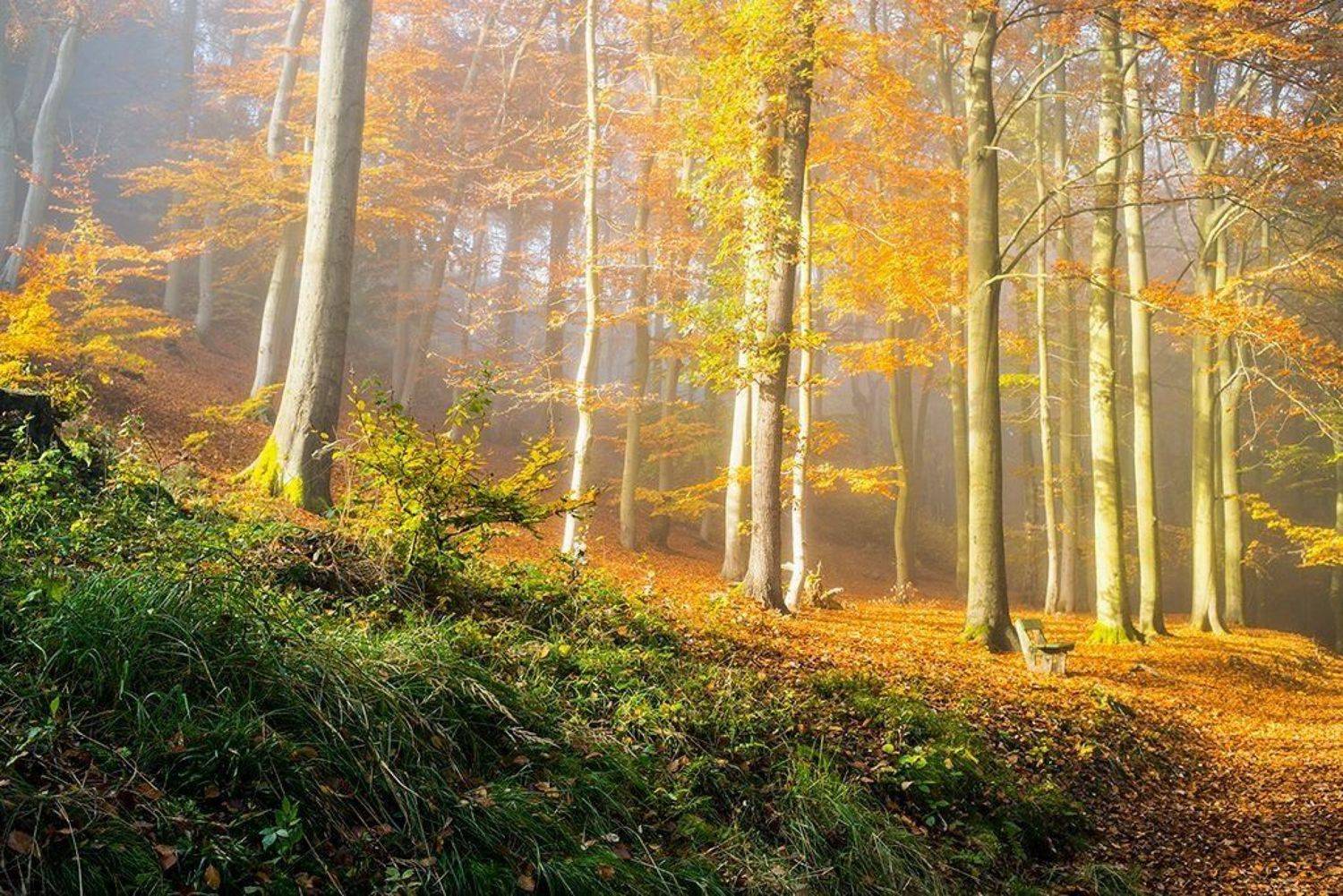 чехия карловы вары, Olga Shiropaeva