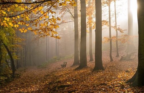 Золотая осень в Чехии