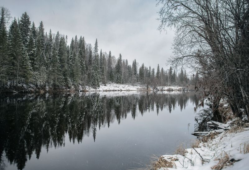Отражение в темной воде. фото превью