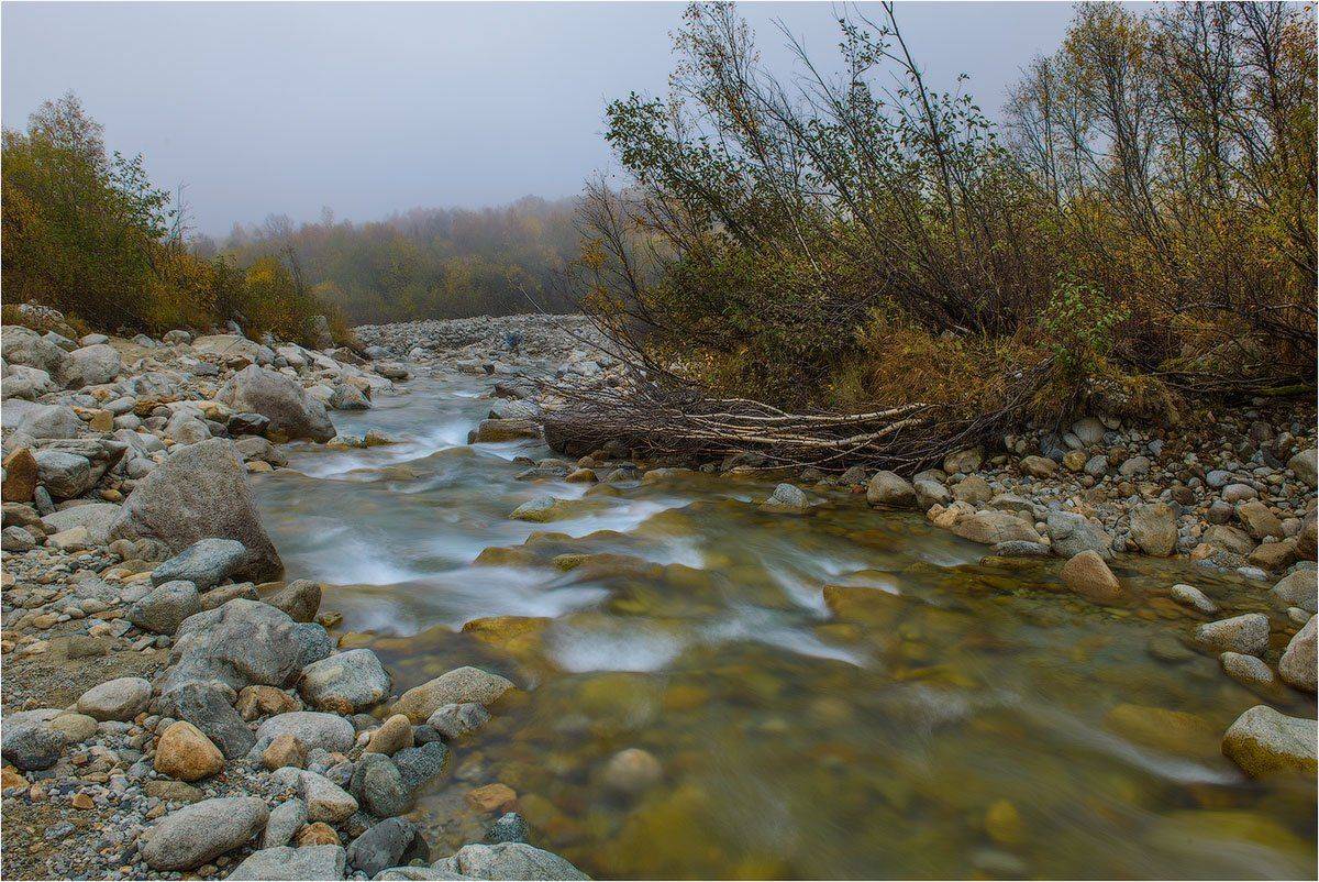 Таймази, трисестры, Урух, осетияЮ, алания, осетияалания, дигорское, кутыгин, золотая, осень, золотаяосень, россия, , Кутыгин Эдуард