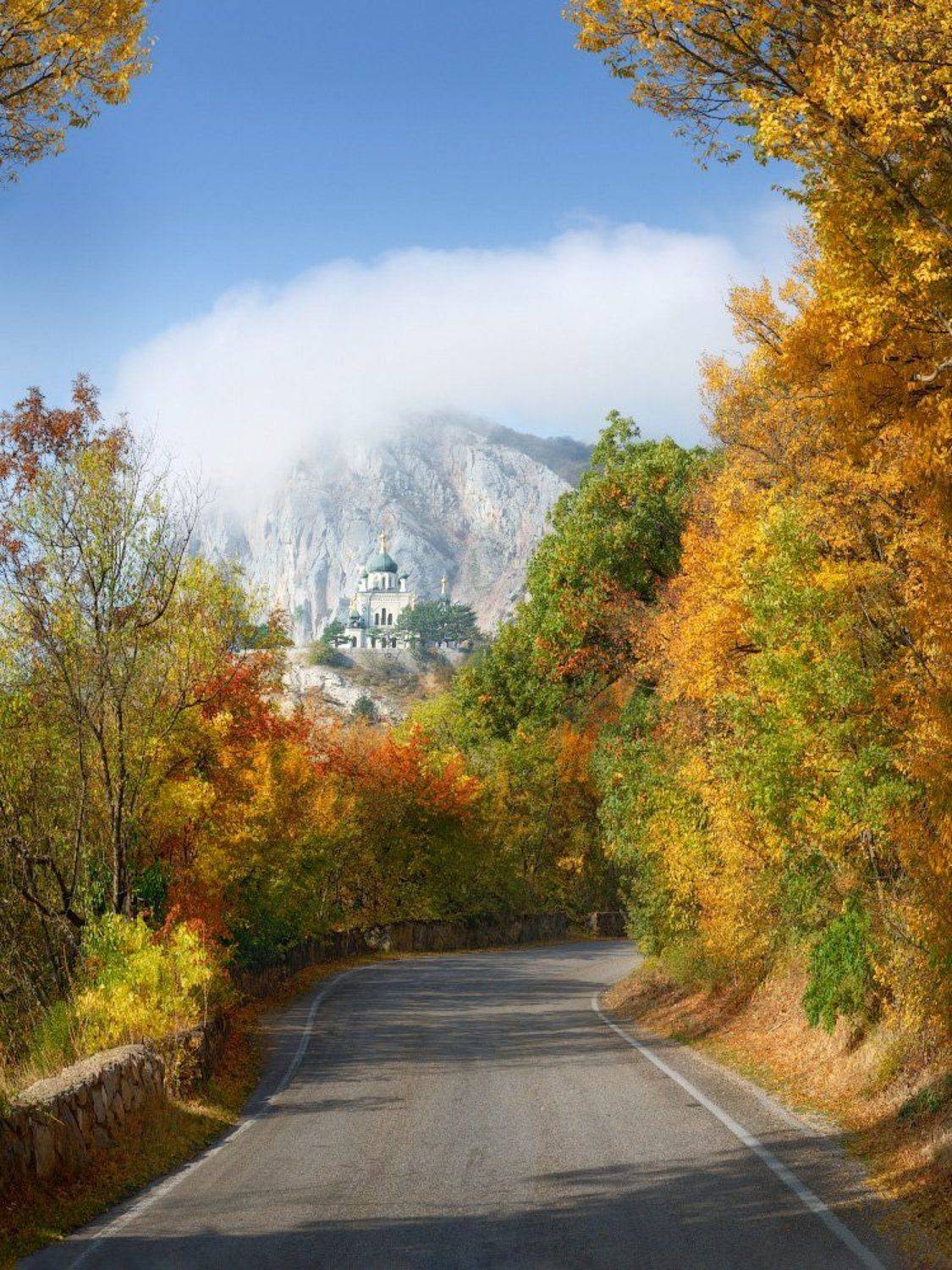 , Дмитрий Медянцев