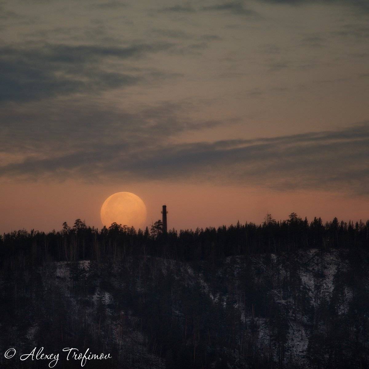 , Алексей Трофимов