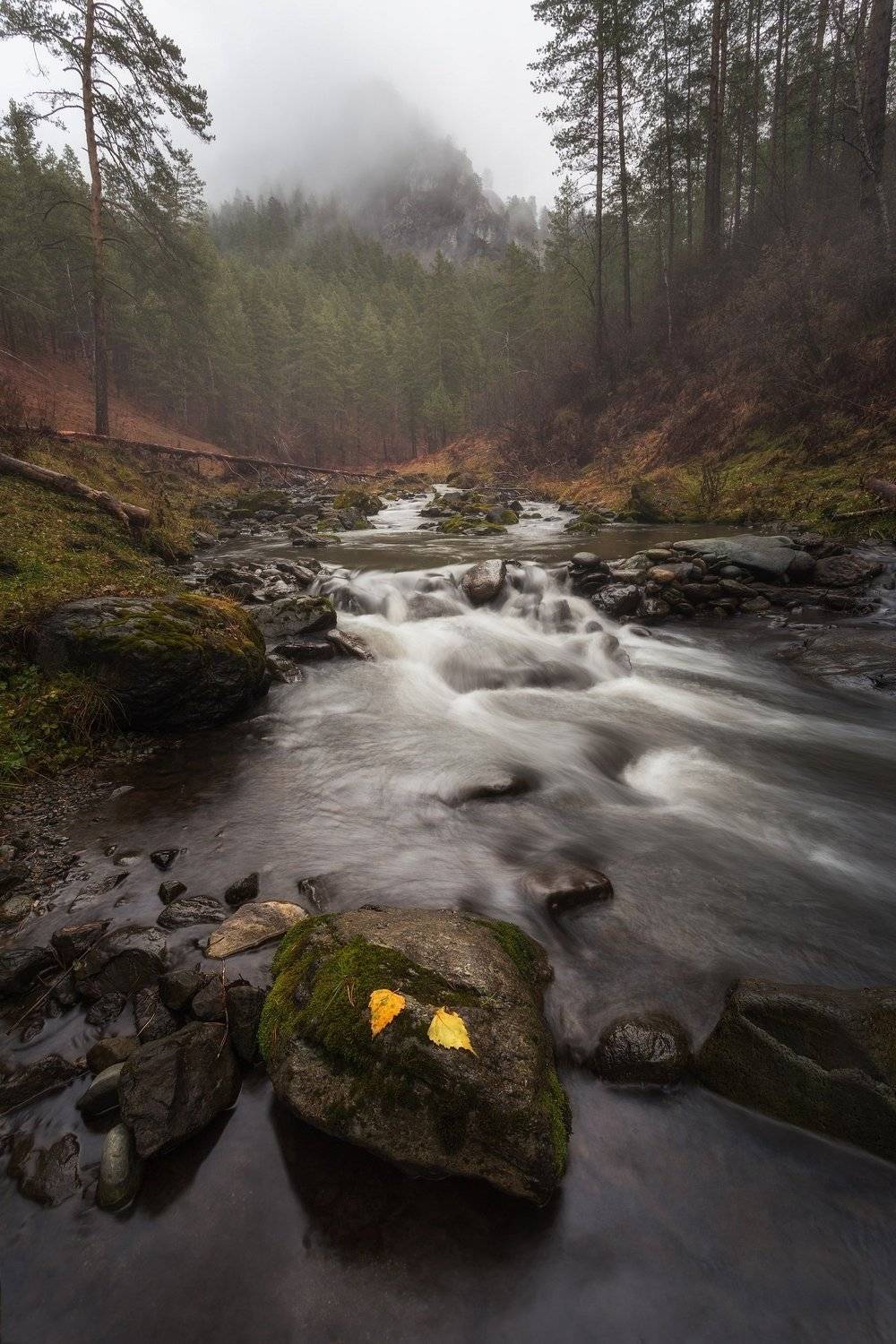 река, лес, осень, алтай, Павел Попов