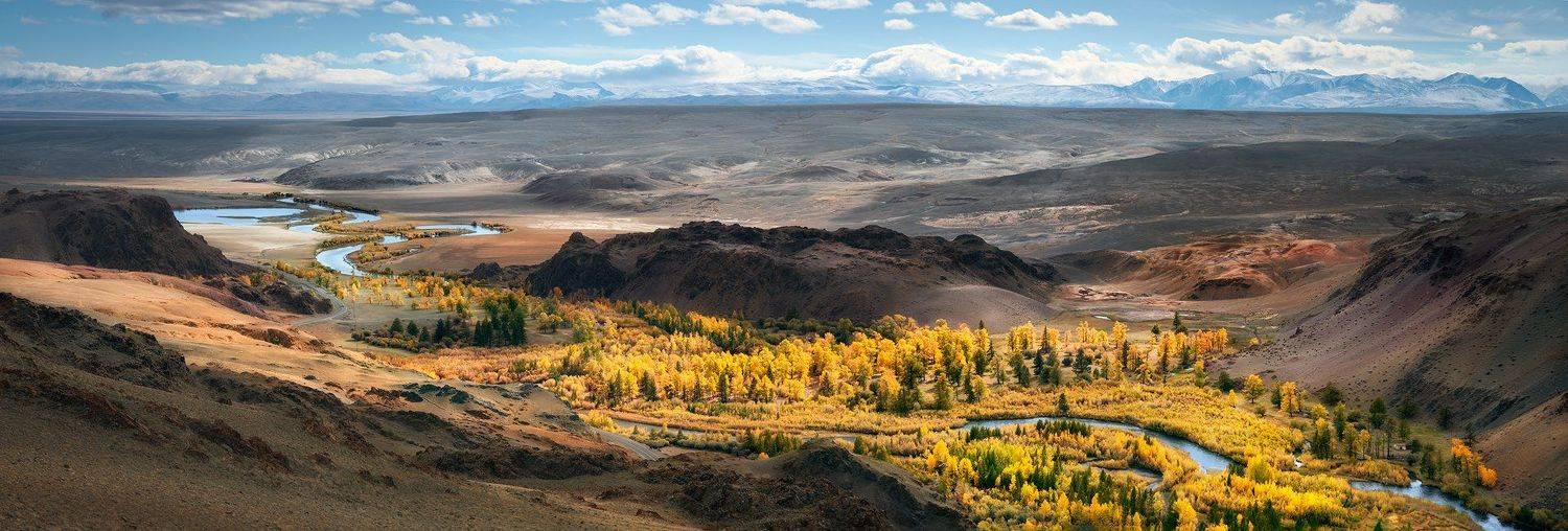 пейзаж, природа, панорама, горы, красная, желтая, золотая, осень, Алтай, Сибирь, холмы, Южно-Чуйский, хребет, река, Чуя, степь, долина, лес, широкий, большой, высокий, Дмитрий Антипов