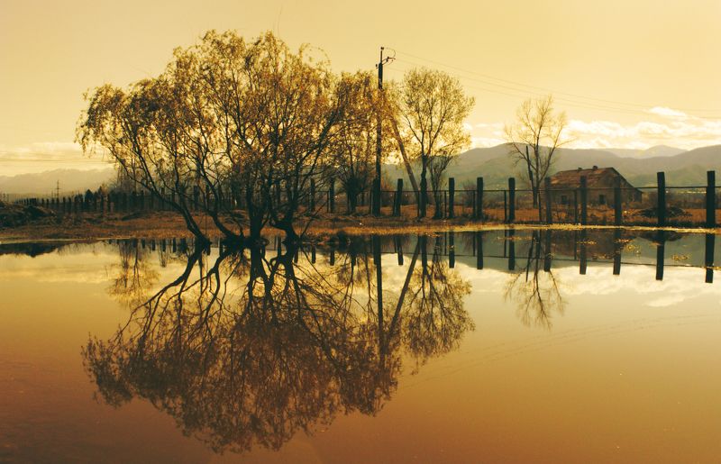 . фото превью