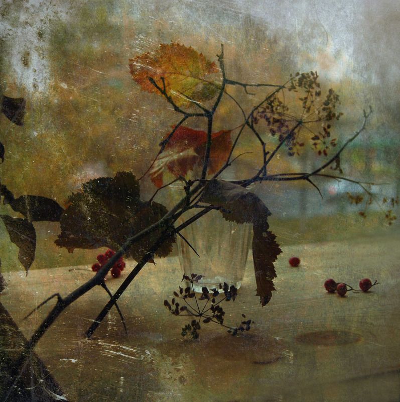 осень, натюрморт - фото превью