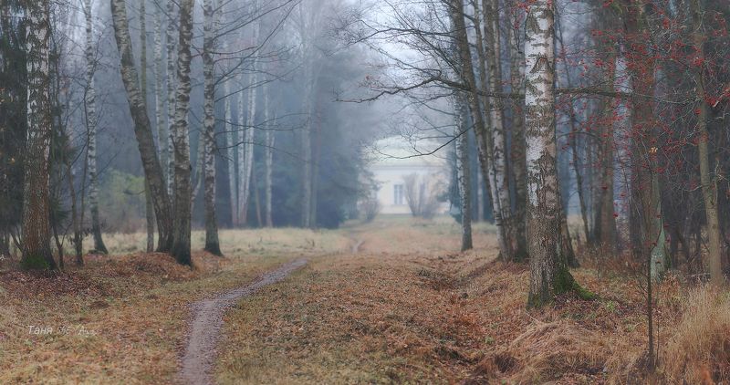 питер, павловск, павловский, осень, пейзаж, туман, павловский парк,  городской пейзаж Ноябрь ... фото превью