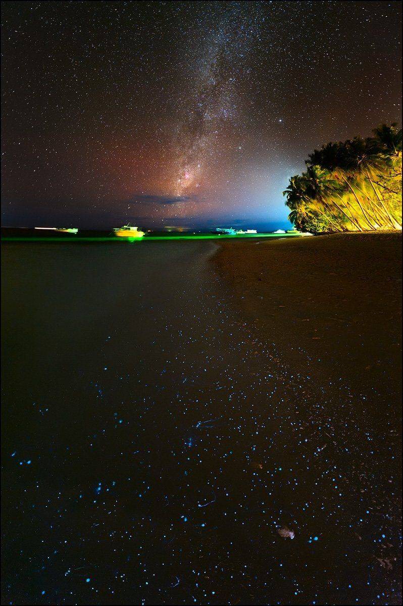 , Андрей Шумилин