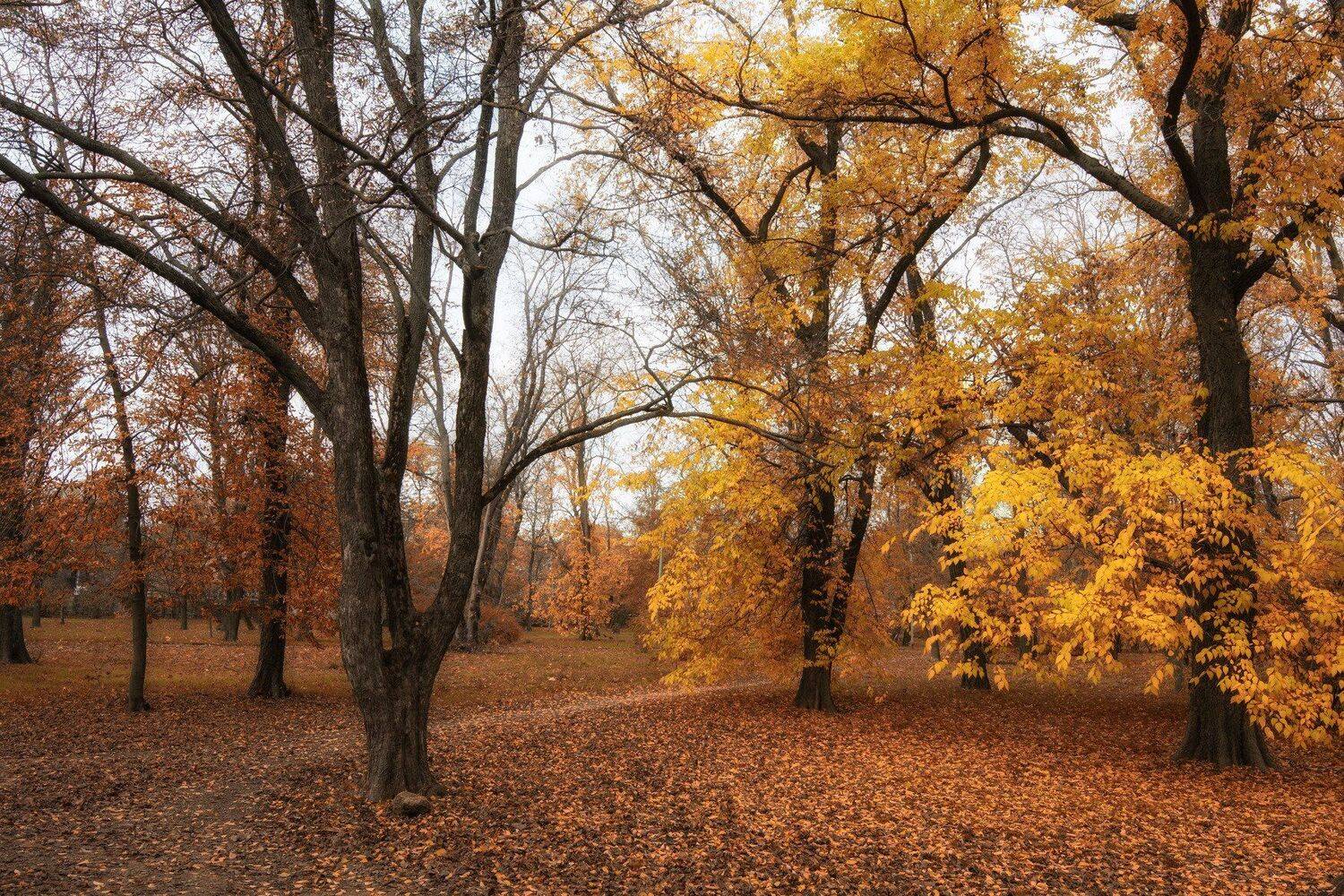 , Юрий Пужалин