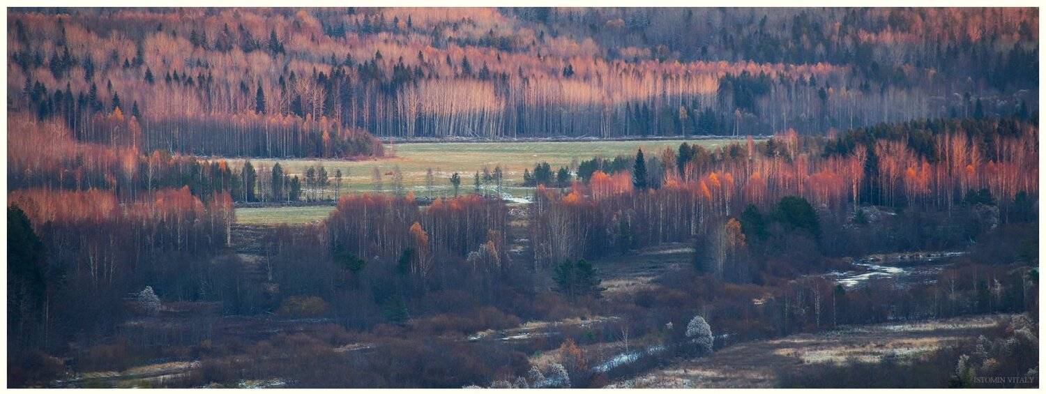 пейзаж,осень,закат,свет,лес,перспектива,архангельская область, Виталий Истомин