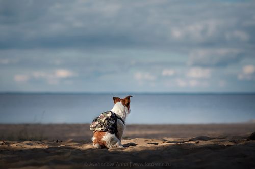Маленькая путешественница 
