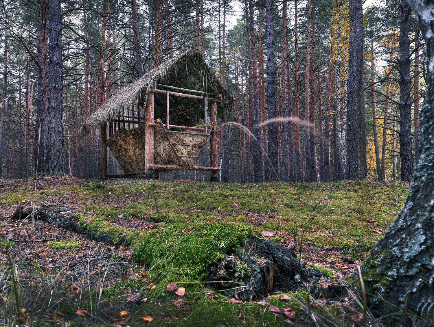 , Бусыгин Борис