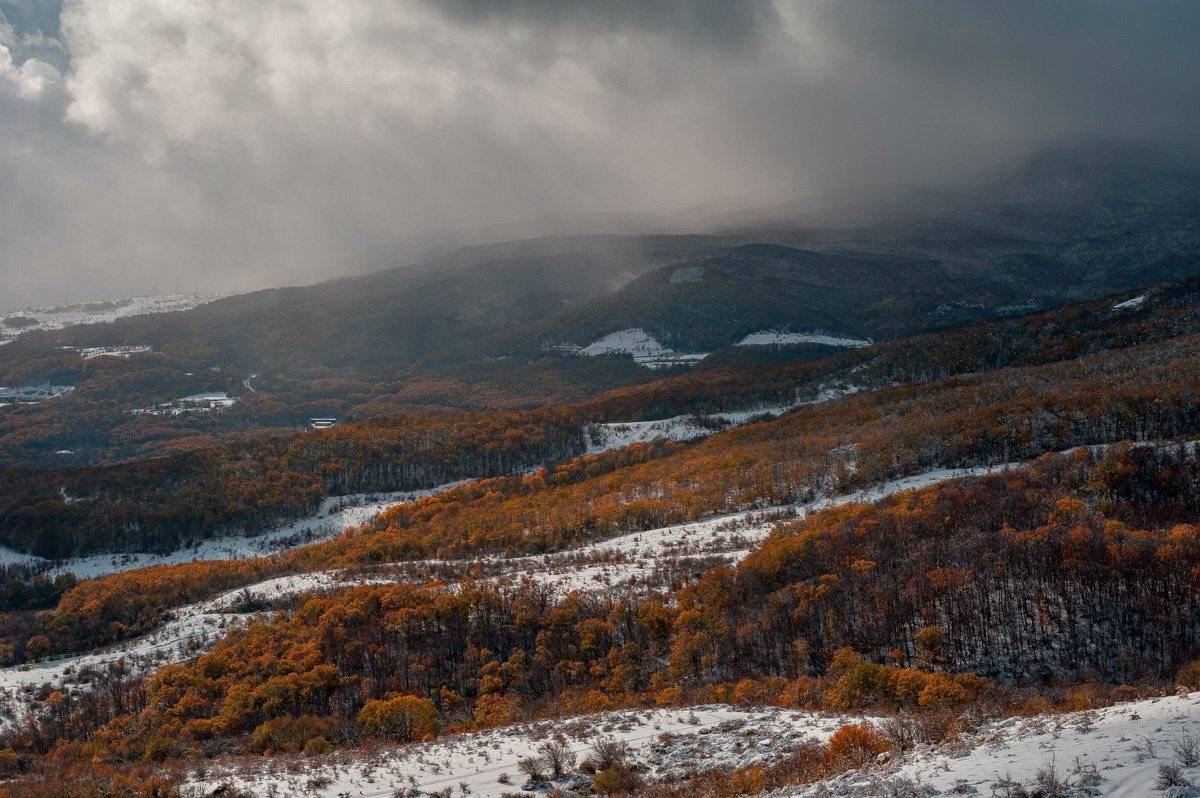 , Олег Логунов