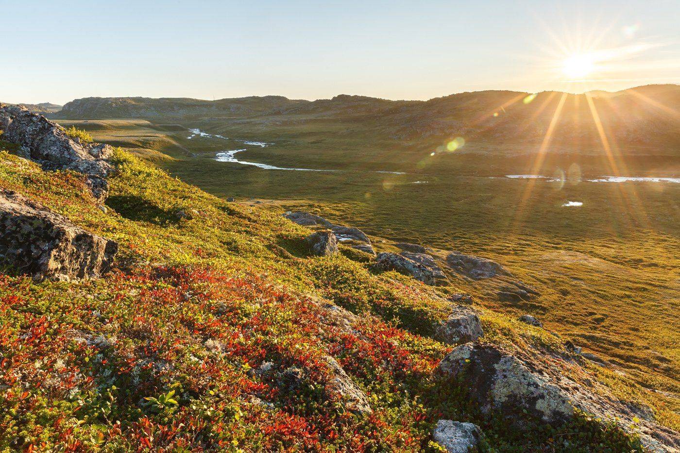 зарубиха, порчниха, мурманская область, кольский полуостров, тундра, фототур, Арсений Кашкаров