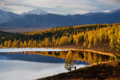 В ритмах осени