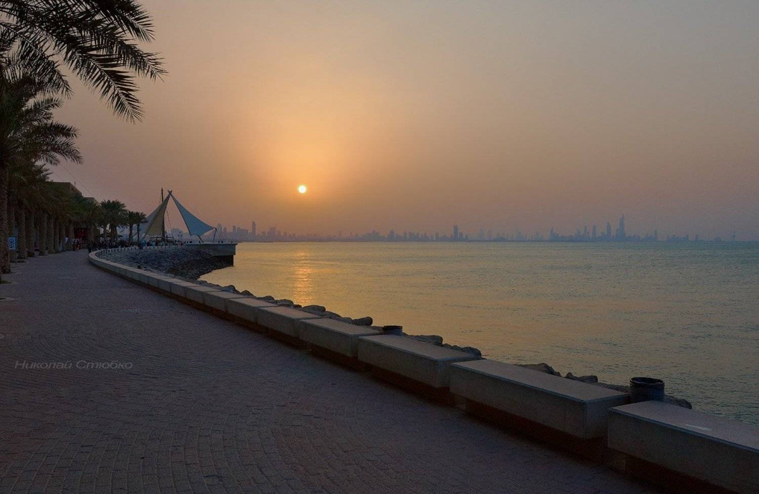 , Николай Стюбко