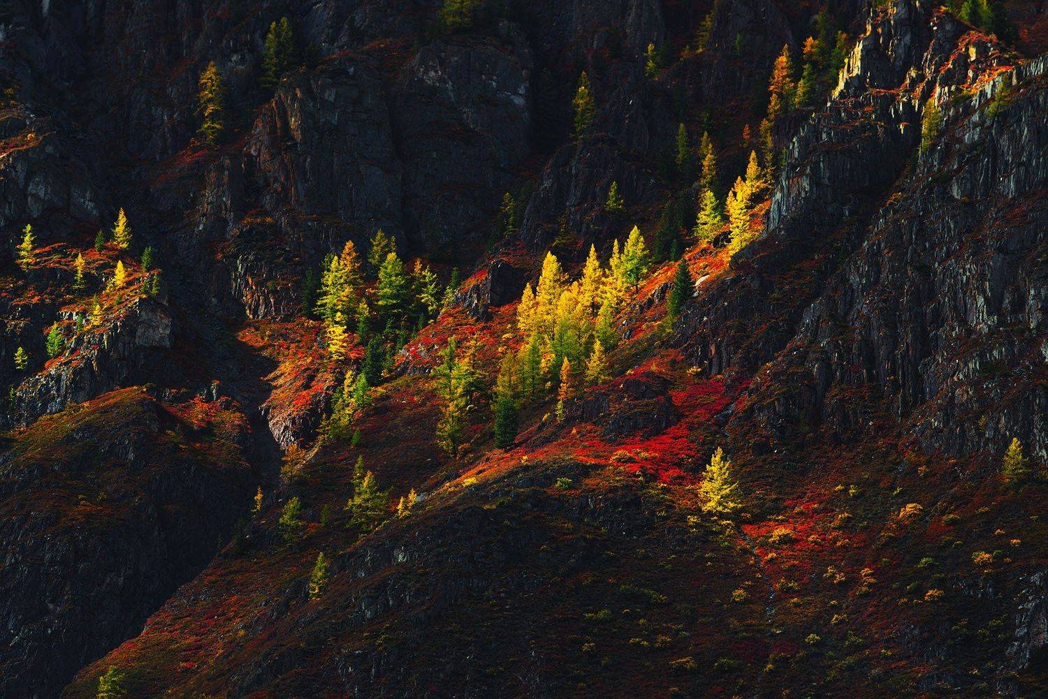 , Красимир Матаров