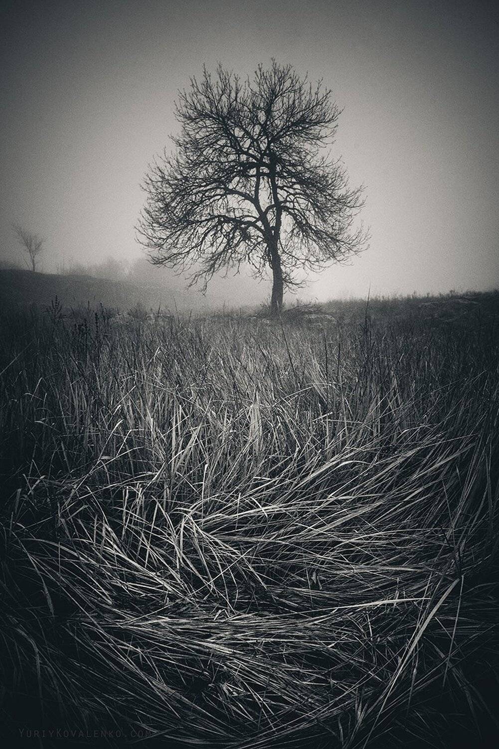 , Юрий Коваленко