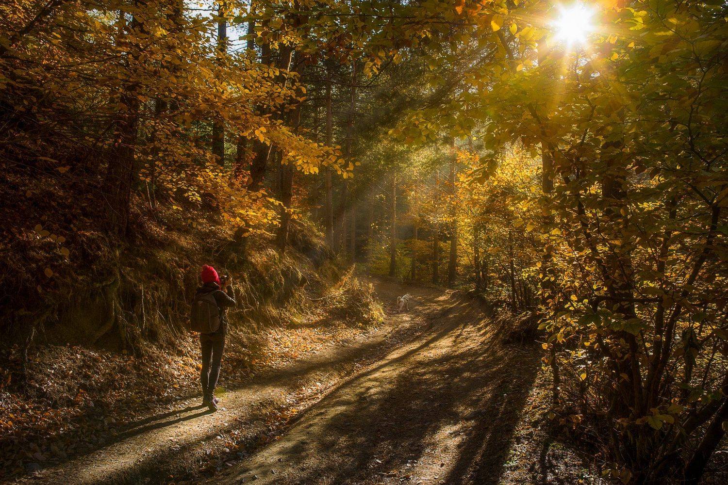 , Борислав Попов