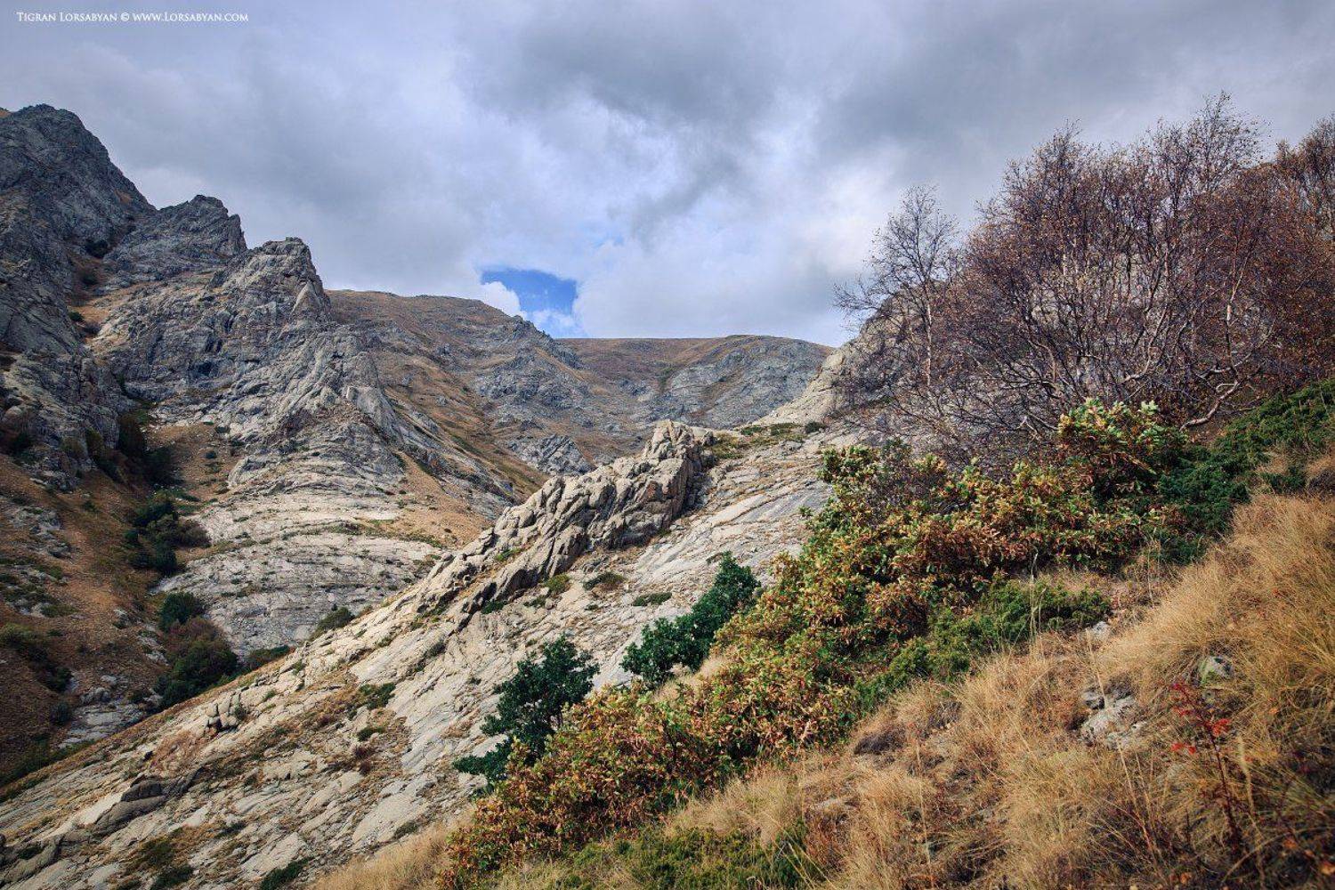 , Тигран Лорсабян