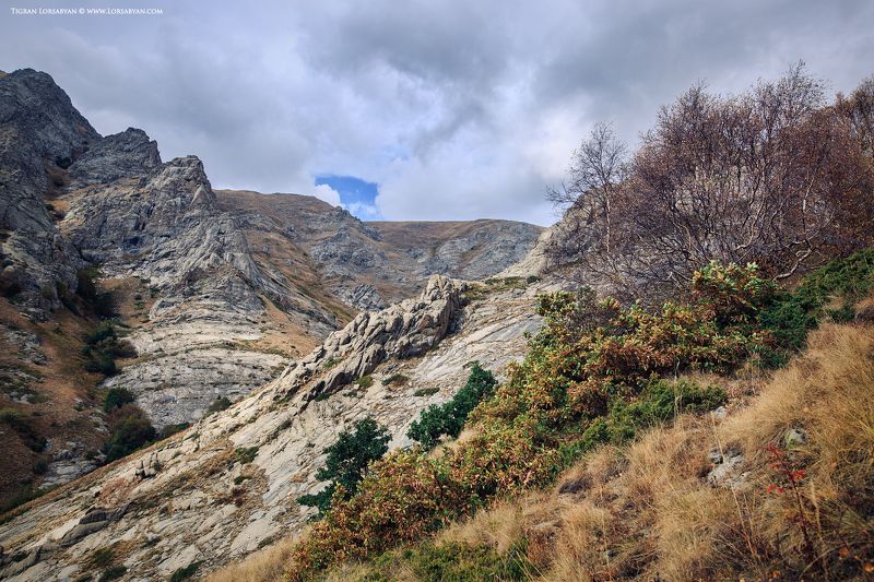 *** фото превью