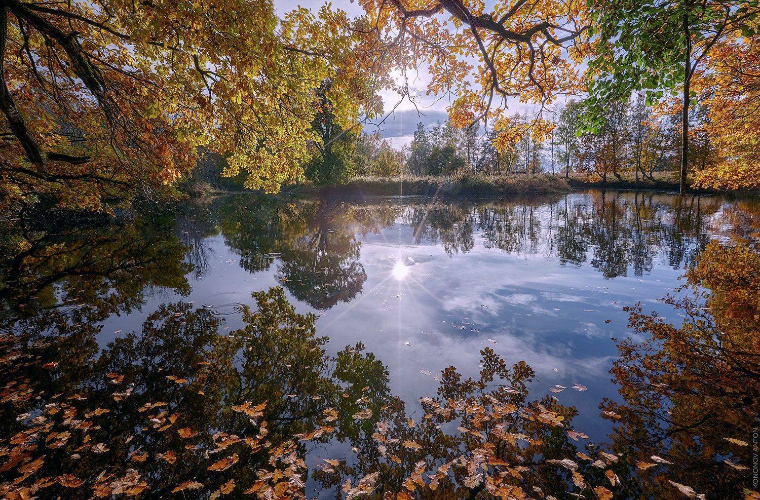 , Антон Кононов