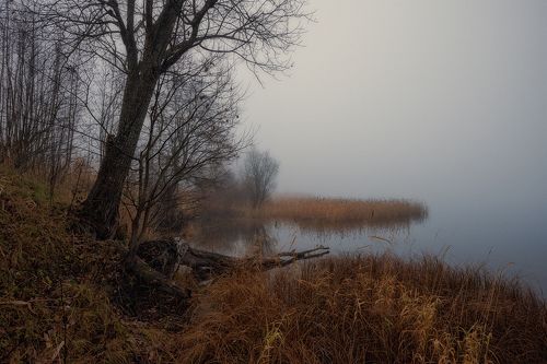 В тихой заводи бродит туман...