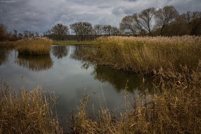 пейзаж,природа,осень,водоем,небо,  фото превью