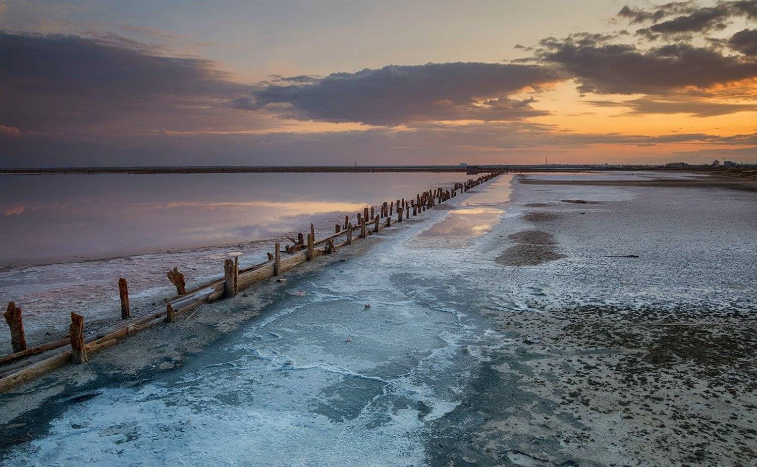 , Анатолий Зверев