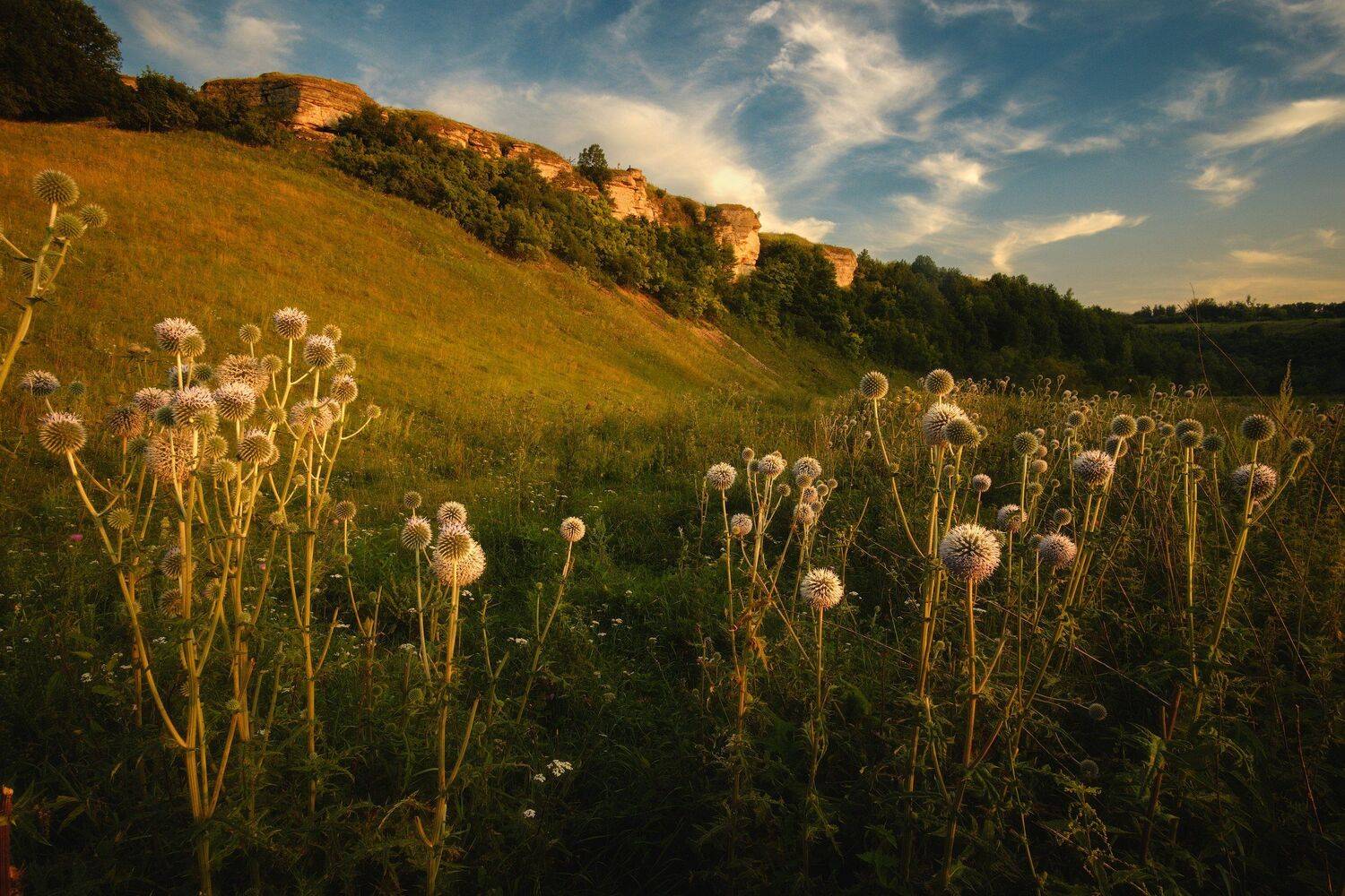 россия, липецкая область, ворголы, закат, природа, пейзаж, мордовник, скалы, река, лес, равнина, небо, Оборотов Алексей