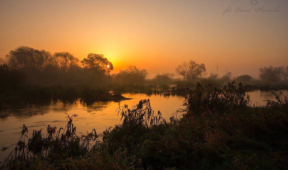 , Pawel Plucinski