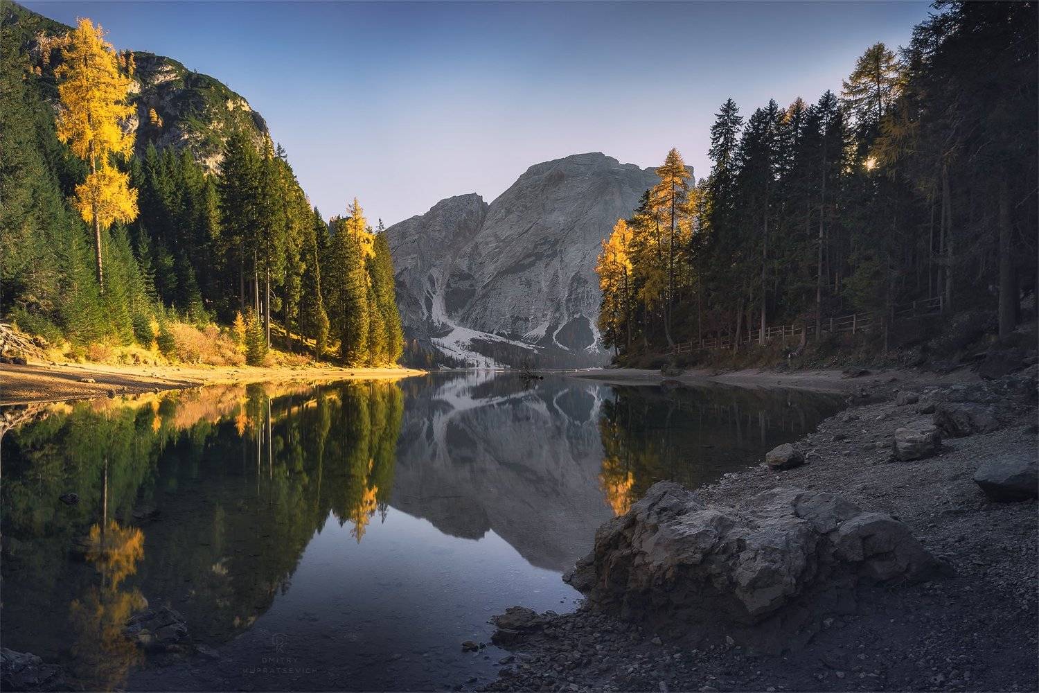 , Дмитрий Купрацевич